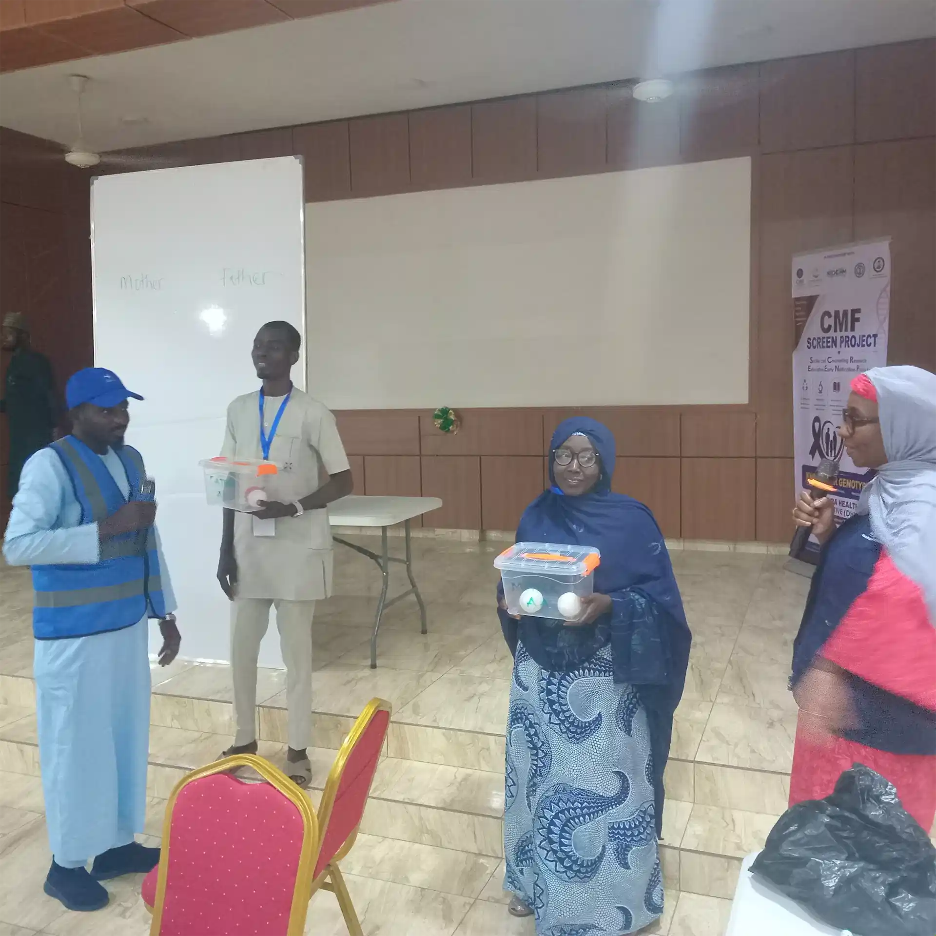 CMF Screen Project Maiduguri Borno july 2026